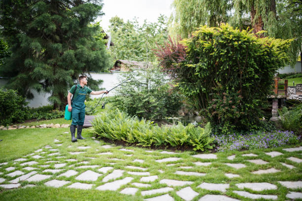Best Ant Control Services  in Smith Valley, NV