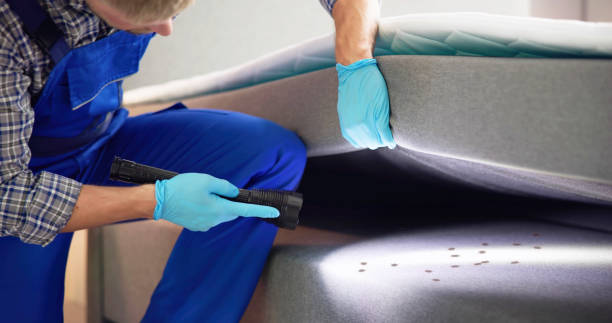 Best Commercial Pest Control Services  in Smith Valley, NV
