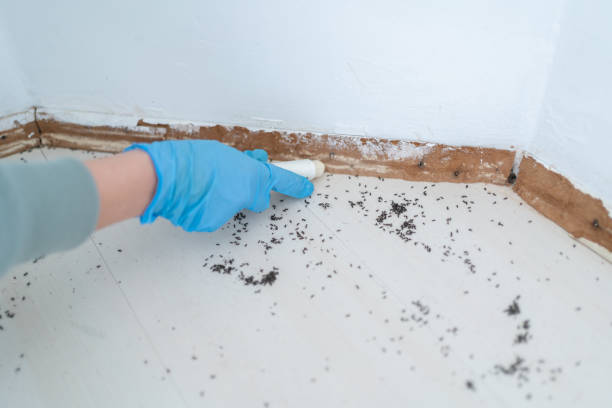 Best Best Pest Control Companies  in Smith Valley, NV